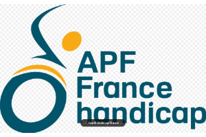 CHAUFFEUR ACCOMPAGNATEUR